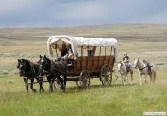Pioneer wagon 